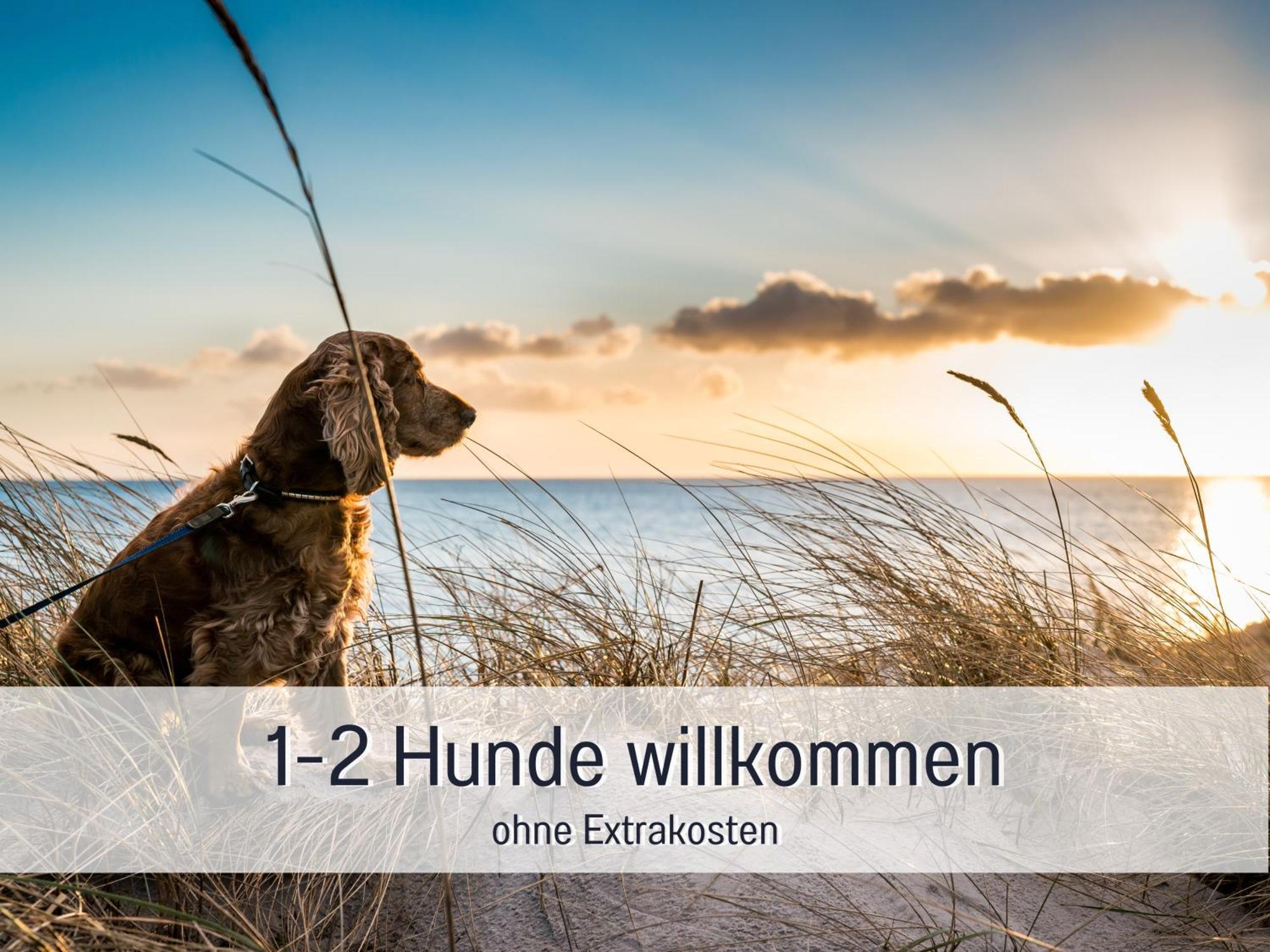 Apartment Hunde Ohne Aufpreis - Hagemeister - 6 Min Zum - Mit 2 Balkonen - Gratis Sauna & Coworking Space Im Haus Sellin (Rugen)